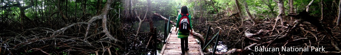 EXPLORING JAVA  OF INDONESIA